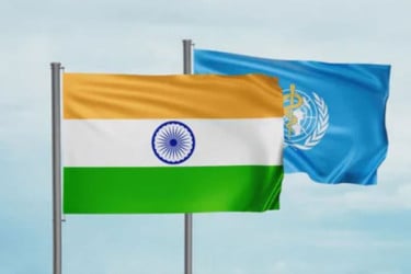 কাশ্মির নিয়ে ভারতের বিরুদ্ধে গুরুতর অভিযোগ জাতিসংঘের