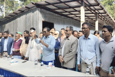 চাঁদপুর সদরে ধানের শীষের পক্ষে শেখ মানিকের গণসংযোগ