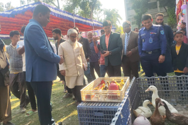 নীলফামারীতে সপ্তাহব্যাপী প্রাণিসম্পদ সপ্তাহ শুরু