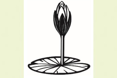 ইসির ওয়েবসাইটে যুক্ত হলো এনসিপির শাপলা কলির স্কেচ