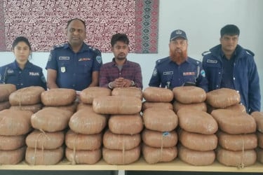 ব্রাহ্মণবাড়িয়ায় পৃথক অভিযানে ২৭৩ কেজি গাঁজা উদ্ধার