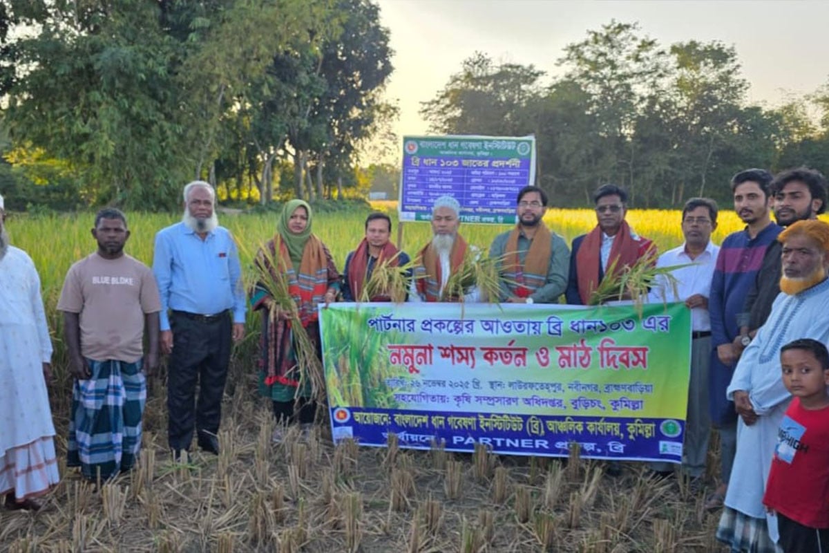 নতুন ধানে কৃষকের মুখে চওড়া হাসি