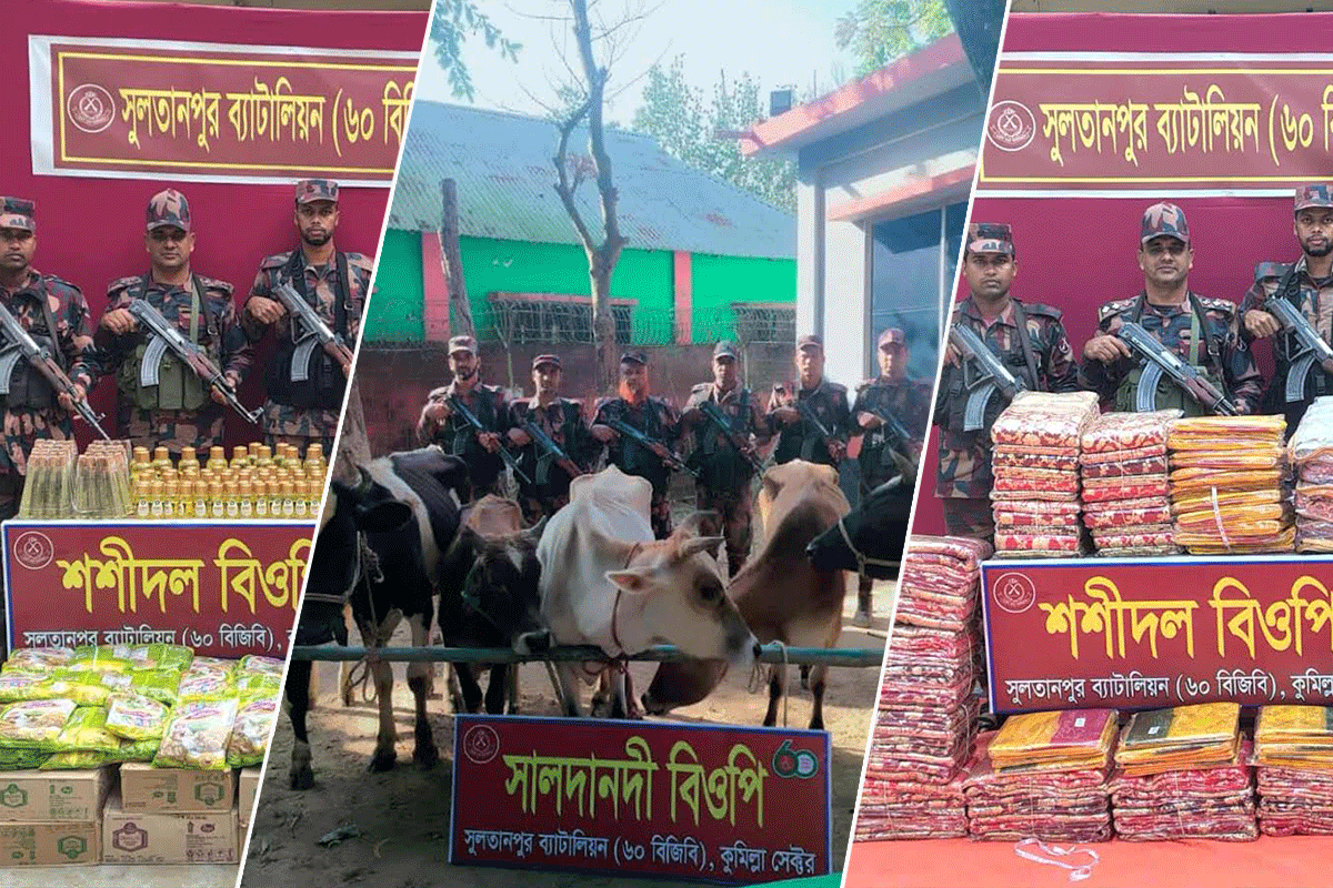 সীমান্তে আড়াই কোটি টাকার ভারতীয় পণ্য জব্দ