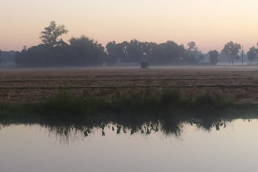 তেঁতুলিয়ায় জেঁকে বসেছে শীত, তাপমাত্রা ১৩ ডিগ্রি