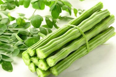 খাদ্যতালিকায় কেন রাখবেন শজনে ডাঁটা