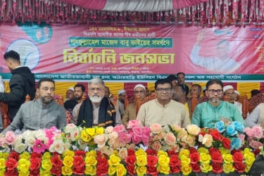 গণতন্ত্র ও ঐক্যের প্রতীক ধানের শীষ: মাজেদ বাবু