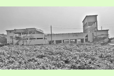 নোংরা পানি রোগাক্রান্ত পৌরবাসী