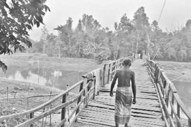 নড়বড়ে সাঁকোয় পারাপার