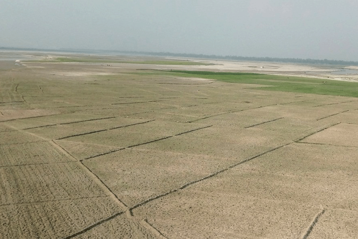 তিস্তার চরে বেড়েছে চাষাবাদ, কৃষকদের মুখে হাসি