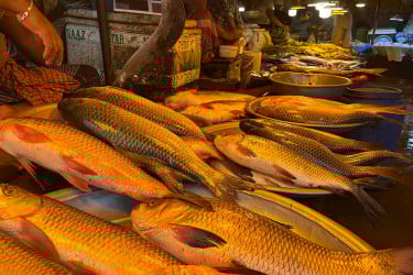 কেমন চলছে ছুটির দিনের মাছ-মাংসের বাজার?