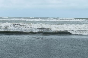 ঘূর্ণিঝড় ‘ডিটওয়াহ’ : চট্টগ্রাম, কক্সবাজার, মোংলা ও পায়রায় ২ নম্বর সংকেত