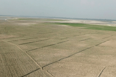 তিস্তার চরে বেড়েছে চাষাবাদ, কৃষকদের মুখে হাসি