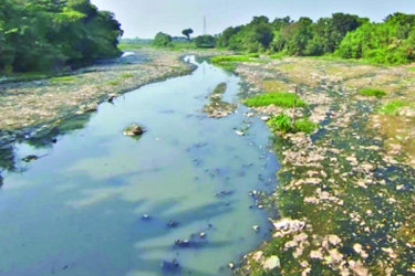 নদীদূষণে চর্মরোগে আক্রান্ত লাখো মানুষ