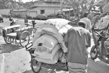 কৃত্রিম সারসংকট, চড়া দাম