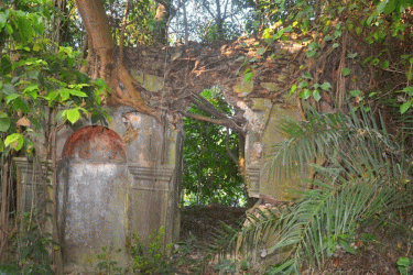 ঝোপ-জঙ্গলে ভরে গেছে রানি ভবানীর জমিদার বাড়ি