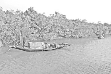 সুন্দরবনে দাপাচ্ছে ২০ বনদস্যু বাহিনী