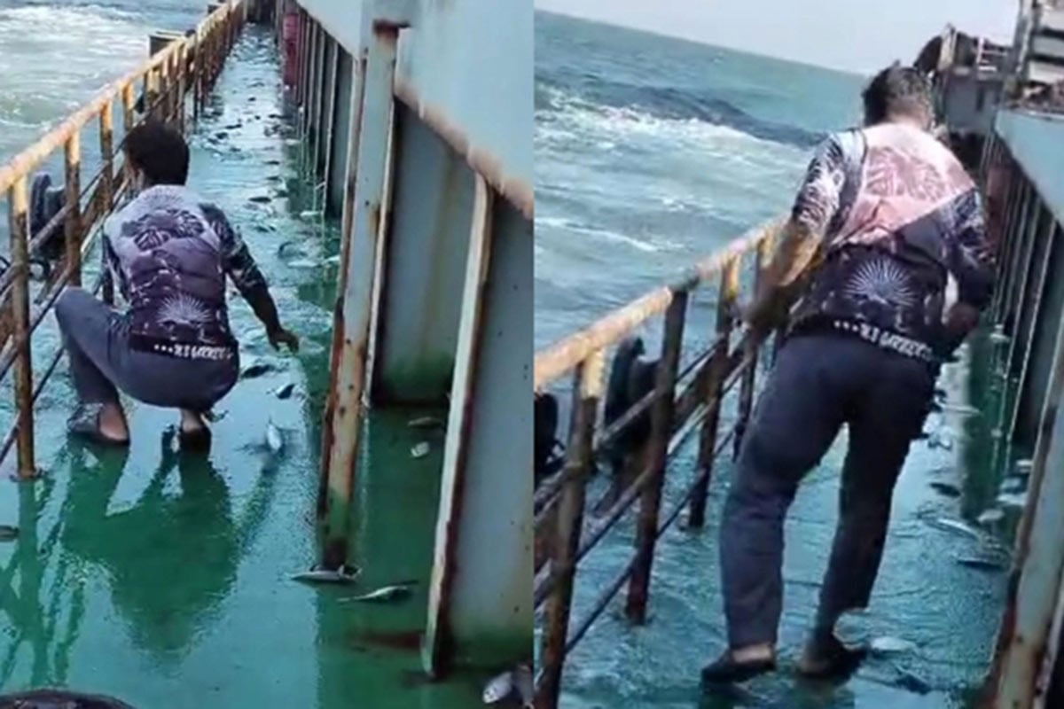 বঙ্গোপসাগরে জাহাজে লাফিয়ে উঠল তিন মণ ইলিশ