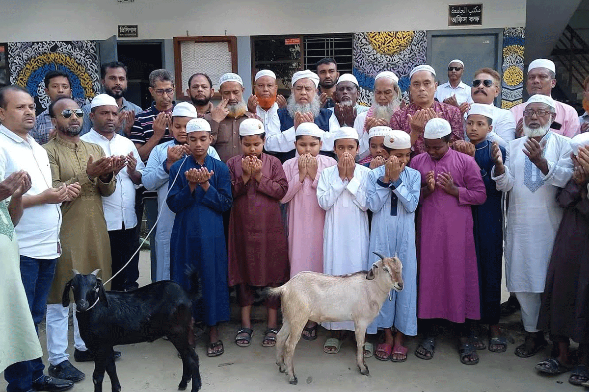 খালেদা জিয়ার সুস্থতা কামনায় আখাউড়ার এতিমখানায় ছাগল উপহার