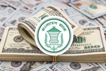 ২৯ দিনে রেমিট্যান্স এলো ২৬৮ কোটি ডলার