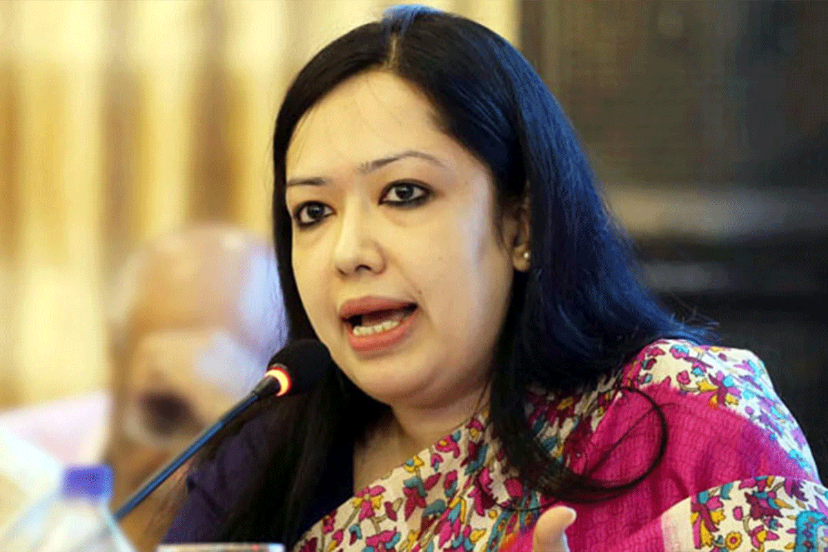 যারা নির্বাচিত সরকার চায় না, তারেক রহমান তাদের জন্য বড় বাধা: রুমিন ফারহানা