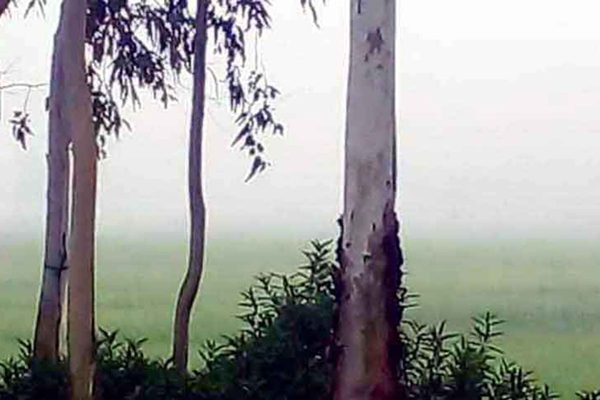 দেশের সর্বনিম্ন তাপমাত্রা দিনাজপুরে