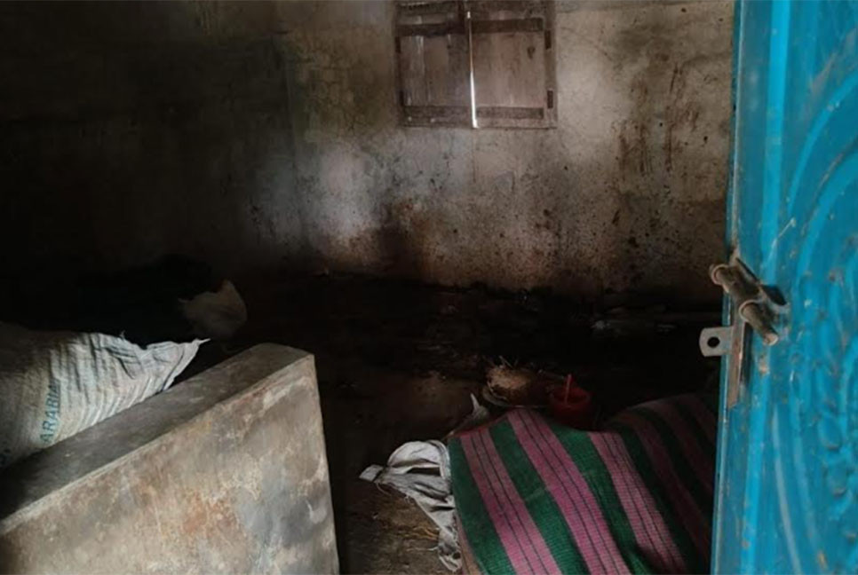 কুষ্টিয়ায় কৃষকের বাড়িতে ডাকাতি