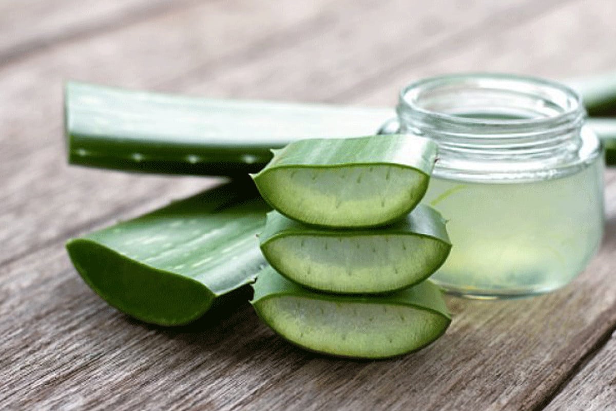 ত্বকের পরিচর্যায় উত্তম হারবাল অ্যালোভেরা