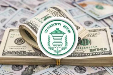 নভেম্বরে রেমিট্যান্স এলো ২৮৮ কোটি ৯৫ লাখ ডলার