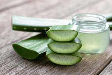 ত্বকের পরিচর্যায় উত্তম হারবাল অ্যালোভেরা