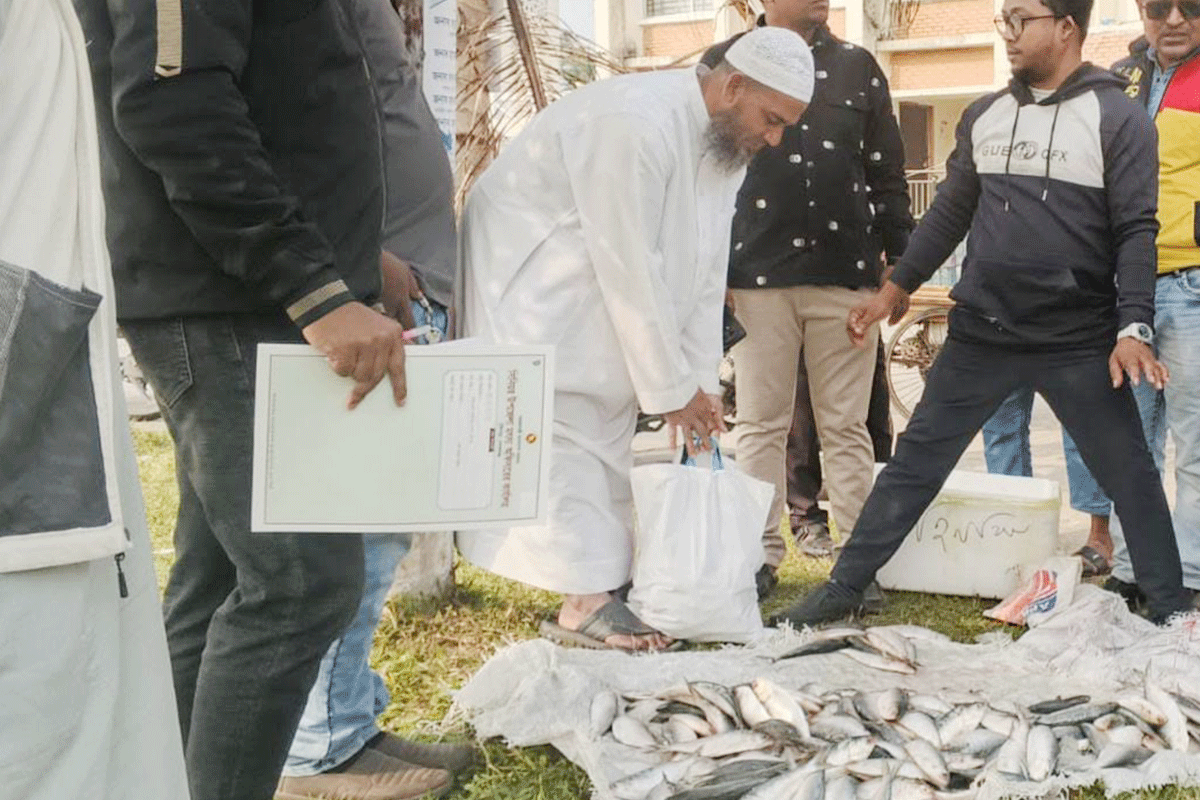 অভিযান টিম দেখে উধাও ব্যবসায়ী, ৬০ কেজি জাটকা গেল এতিমখানায়