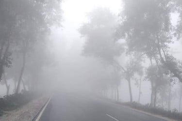 উত্তরপূর্বাঞ্চলে কুয়াশা পড়ার পূর্বাভাস