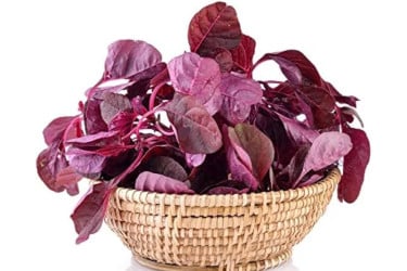 লাল শাকের পুষ্টিগুণ