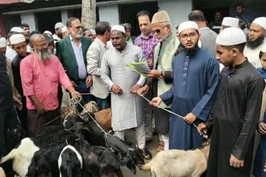 খালেদা জিয়ার রোগমুক্তি কামনায় বাগেরহাট কোরআন খতম, ছাগল বিতরণ