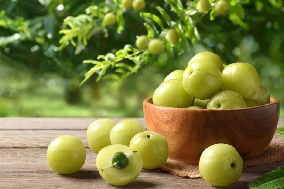 আমলকীর পুষ্টিগুণ