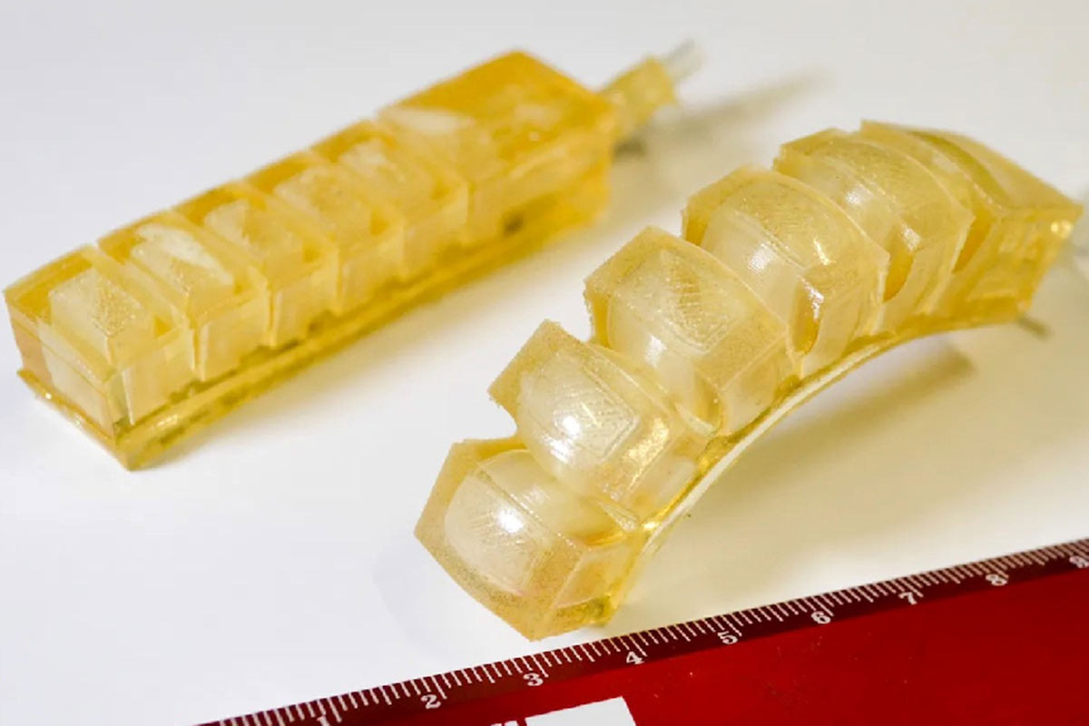 এবার রোবট চাইলে খেয়েও ফেলতে পারবেন