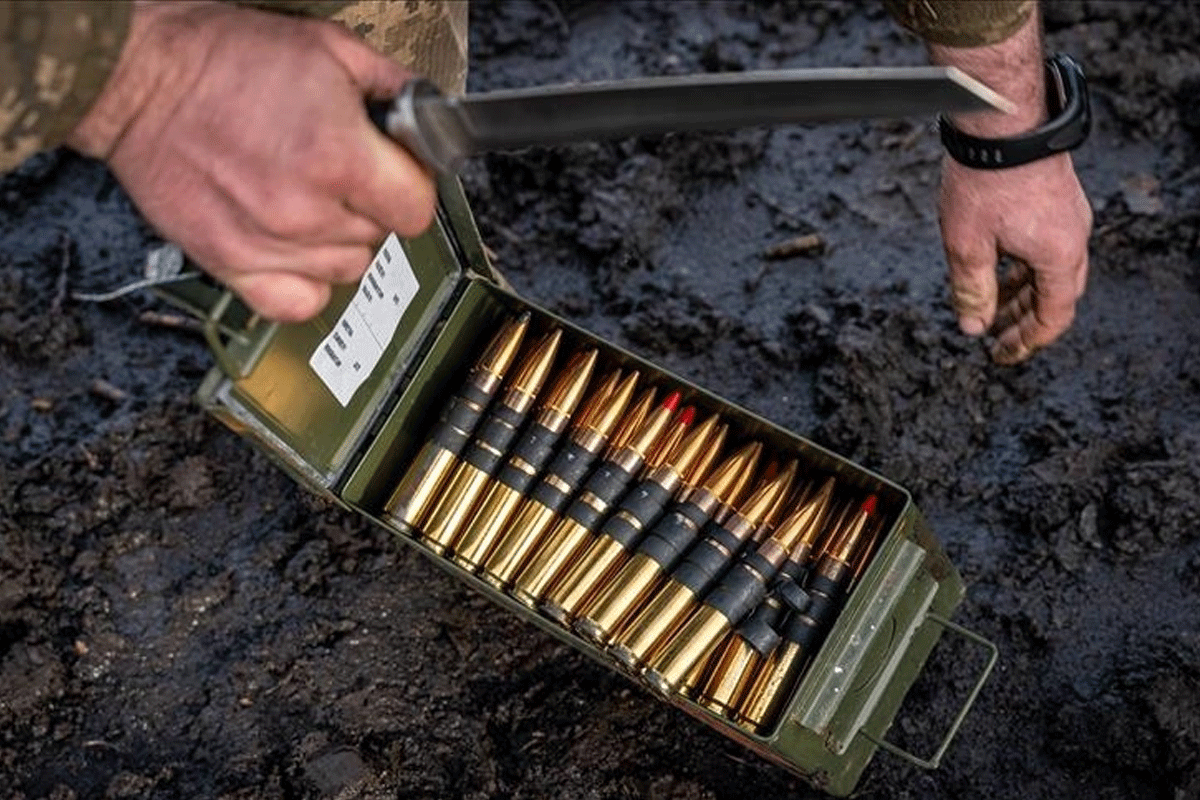 জার্মান সেনাবাহিনীর ২০ হাজার রাউন্ড গোলাবারুদ চুরি