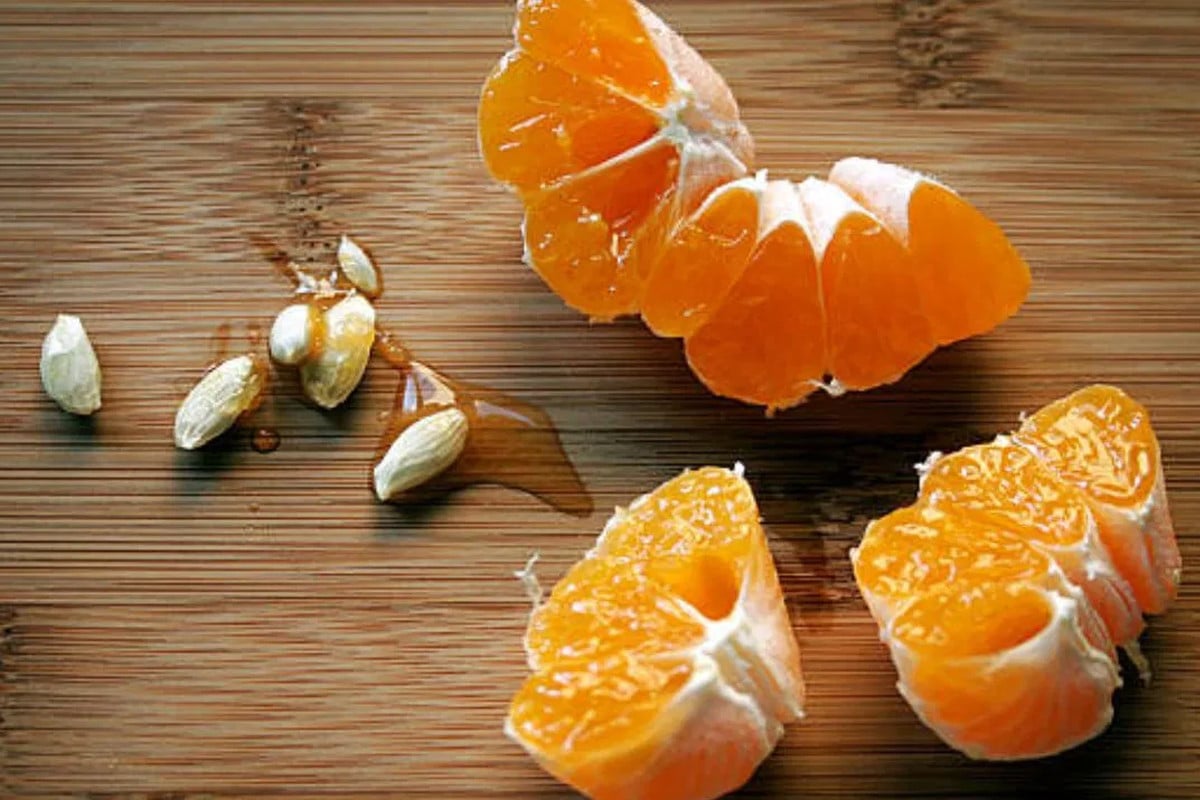 কমলার বীজ পেটে চলে গেলেই বিপদ! গুজব না সত্যি?