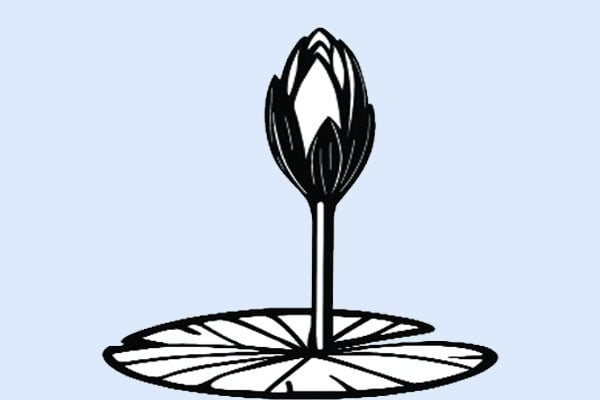 শাপলা কলি প্রতীকে নিবন্ধন পেল এনসিপি