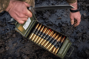 জার্মান সেনাবাহিনীর ২০ হাজার রাউন্ড গোলাবারুদ চুরি