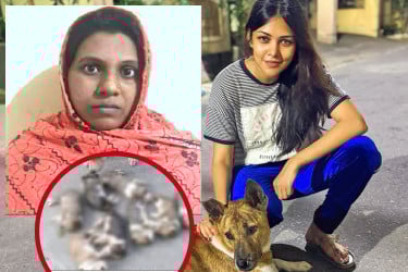 অবলা প্রাণীর ওপর অত্যাচার বন্ধ হোক: পিয়া জান্নাতুল