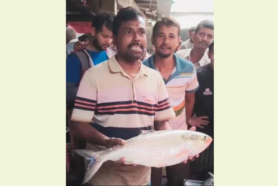 দুই কেজি ৬০০ গ্রাম ওজনের ইলিশ বিক্রি ১৫ হাজার টাকায়