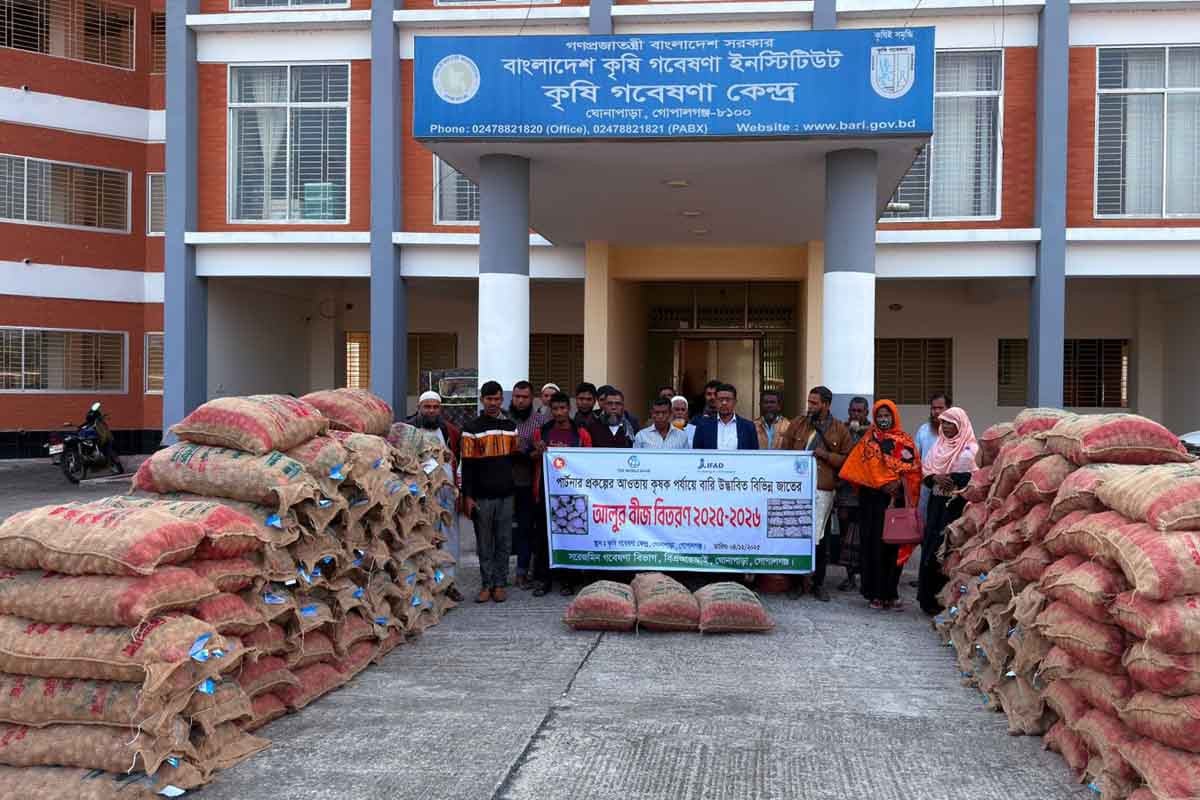 গোপালগঞ্জ–পিরোজপুরে কৃষকদের হাতে বিনামূল্যে আলুবীজ