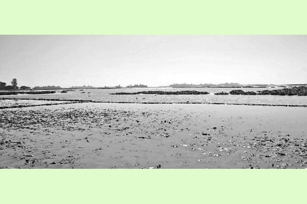 হাওড়ে নামছে না পানি