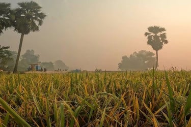 ১২.৫ ডিগ্রি সেলসিয়াস তাপমাত্রায় কাঁপছে তেঁতুলিয়া
