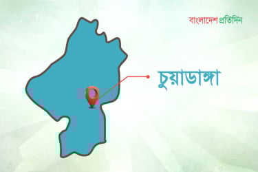 চুয়াডাঙ্গায় পাচারের সময় ২০ বস্তা সার জব্দ