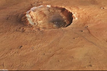 মার্স এক্সপ্রেসের ক্যামেরায় ধরা পড়ল বিরল প্রজাপতি