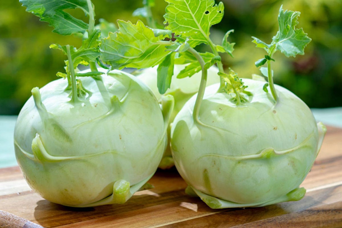 শীতের সবজি শালগমের পুষ্টিগুণ