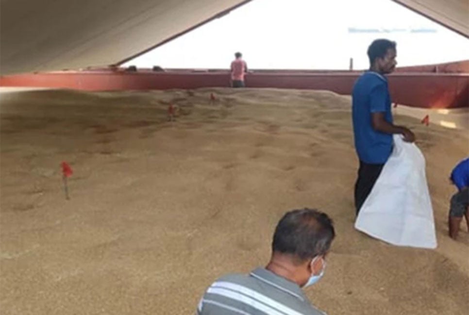 যুক্তরাষ্ট্র থেকে এলো ৬১ হাজার মেট্রিক টন গম