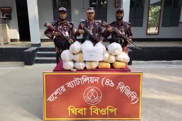 যশোরের সীমান্তে ৪১ কেজি ভারতীয় গাঁজা উদ্ধার