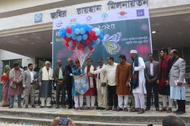 জাবিতে রঙিন ডানায় মুখর প্রজাপতি মেলা